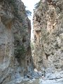 IMG_2249 - Copy
